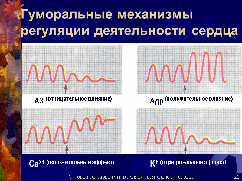 Гуморальные механизмы регуляции деятельности сердца АХ (отрицательное влияние) Адр (положительное влияние) Ca2+ (положительный эффект)